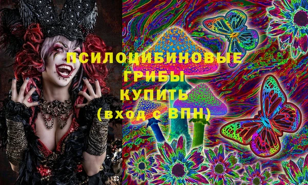 ПСИЛОЦИБИНОВЫЕ ГРИБЫ Пролетарск