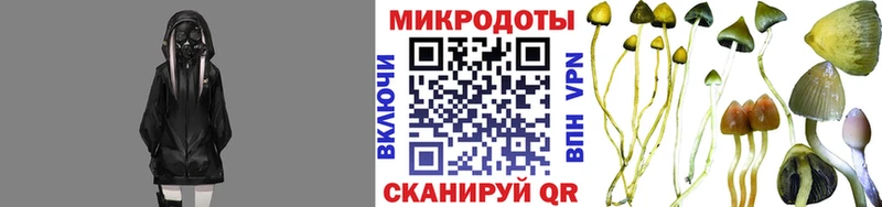 Галлюциногенные грибы ЛСД где найти Тайшет